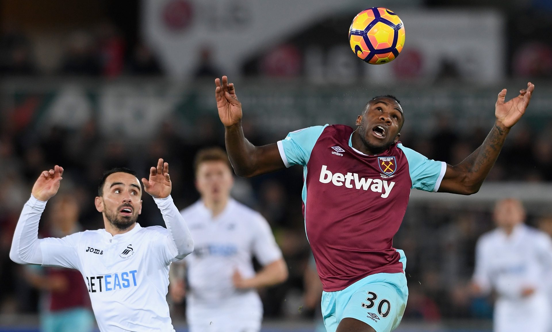 得高水平的 得高水平的