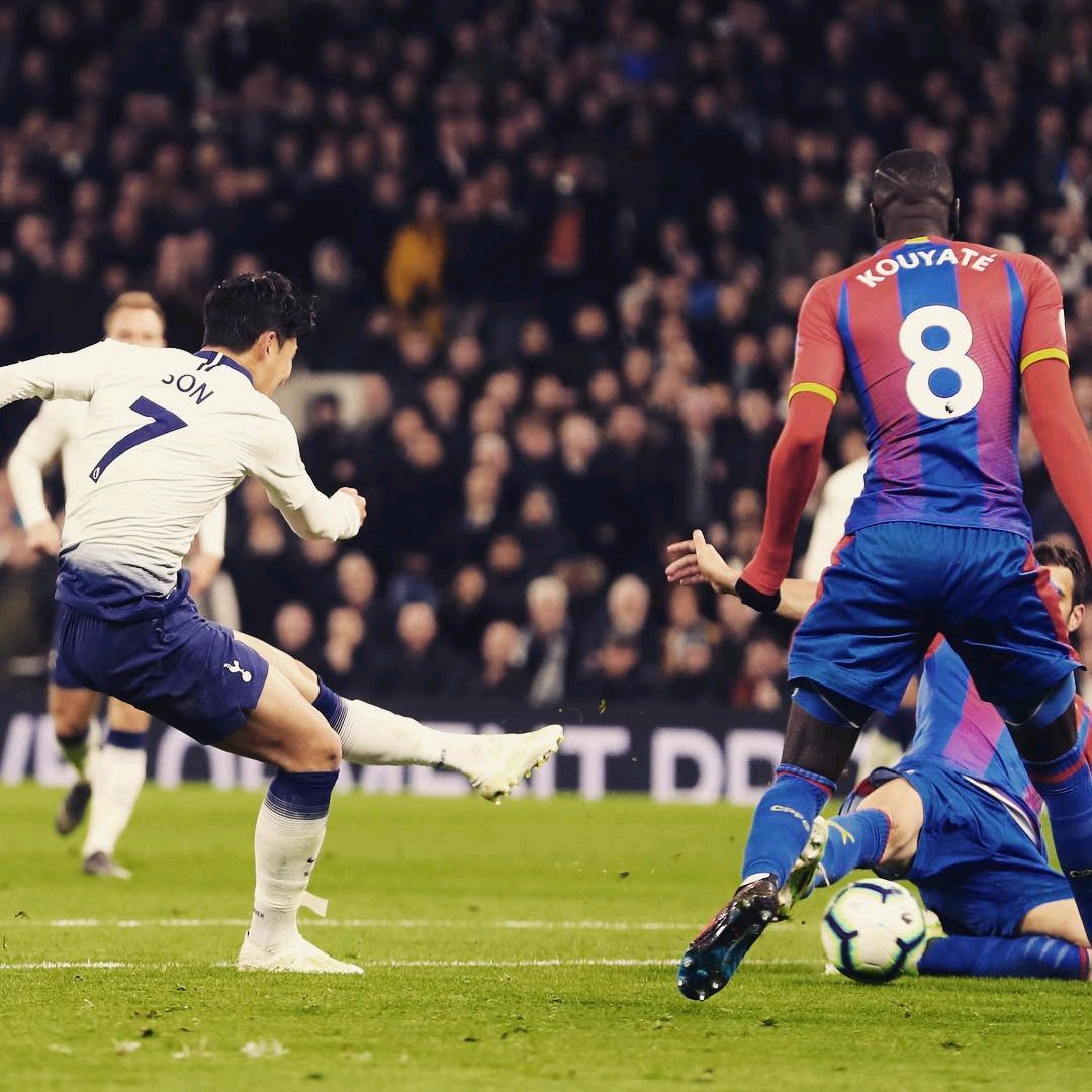 战术安排的 战术安排的